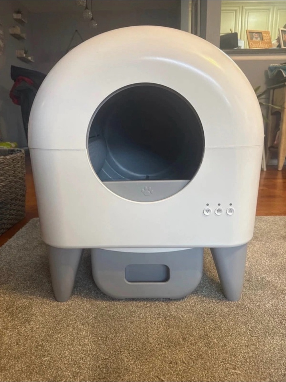 Automatic Cleaning Litter Box